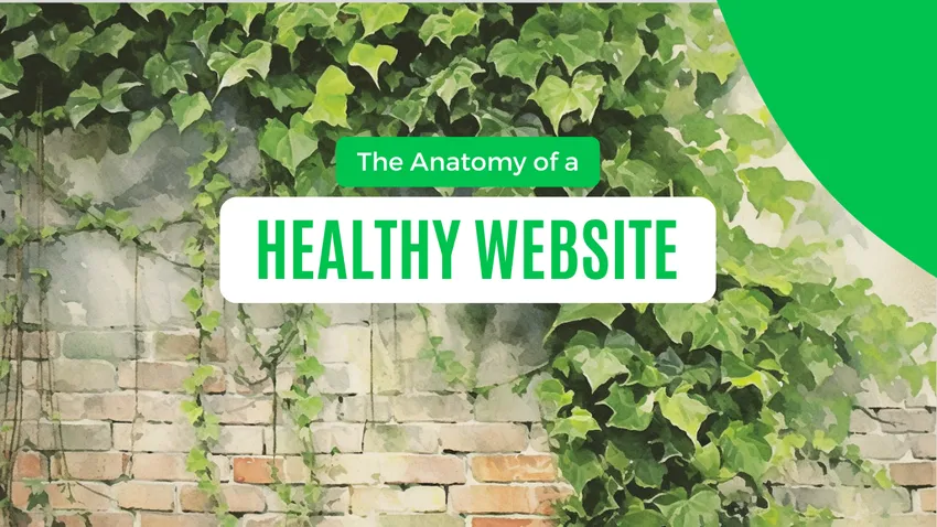 The Anatomy of a Healthy Website