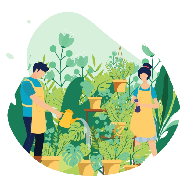 website management